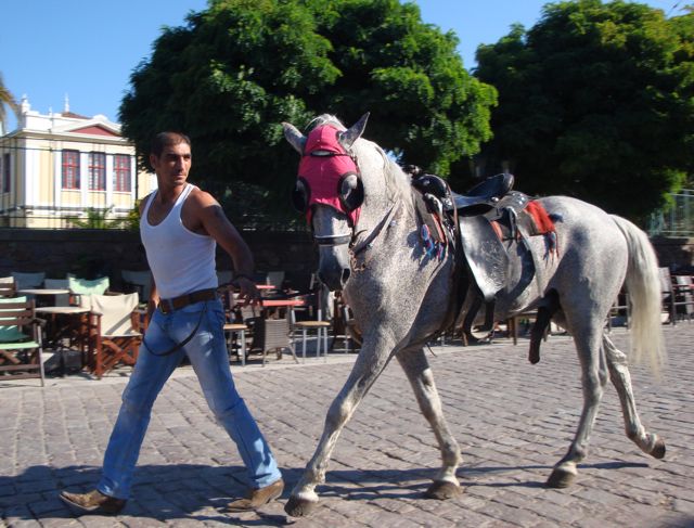 Agia Paraskevis, horseracing, Lesvos