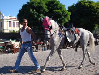 Horseracing in Lesvos