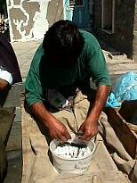 Fresh sardines in Lesvos