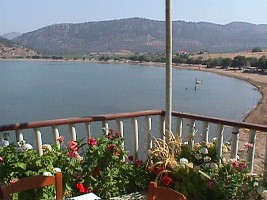 Gavatha, Lesvos, Greece