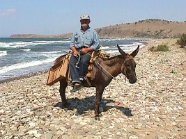 Campo Antissa, Lesvos, Greece