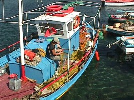 Fishing boat in Skala Eressos, Lesvos