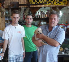 lesvos, restaurants, cavodioro