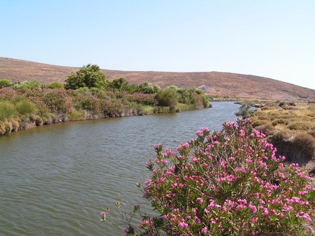 River at Tsichlioda Beach, Sigri