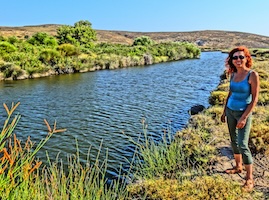 River in Lesvos