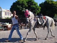 Agia Paraskevis Horse races