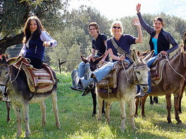 donkey treks, horseback riding, Lesvos, Greece