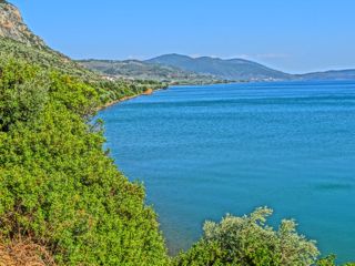 Gulf of Yera