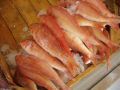 Lesvos-food-porno022.jpg