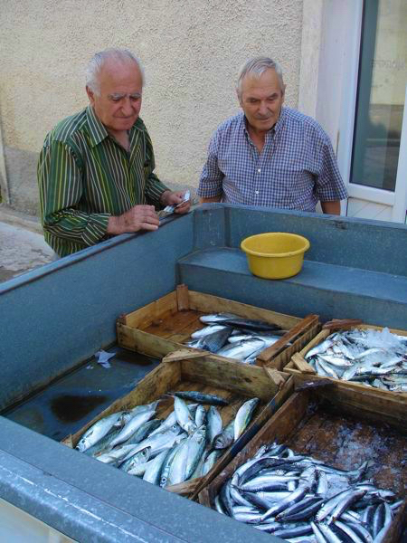 Lesvos-food-porno061.jpg