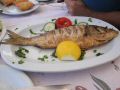 Lesvos-food-porno228.jpg