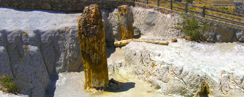 Petrified forest of Lesvos