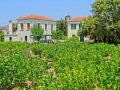 skala-eressos50.jpg
