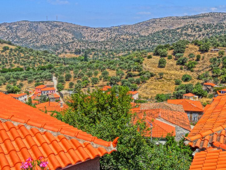 lesvos016.jpg