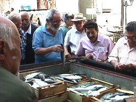 Village life in Lesvos