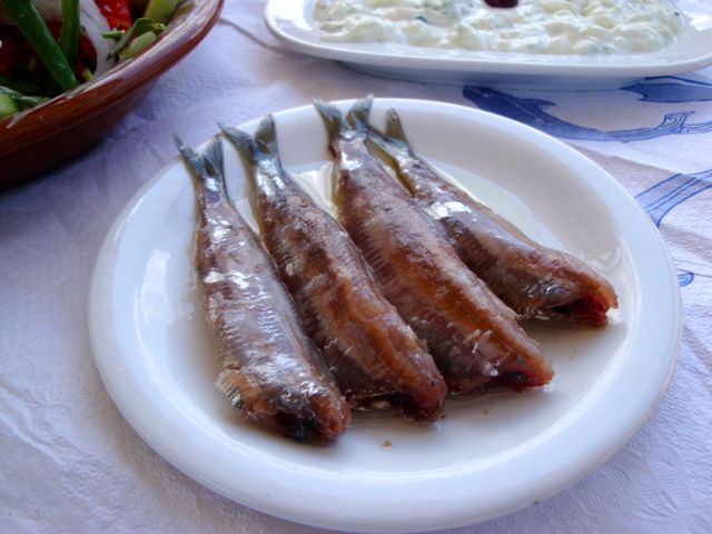 Sardines, Lesvos
