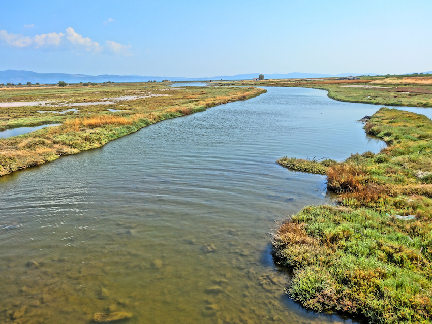 Kaloni wetlands