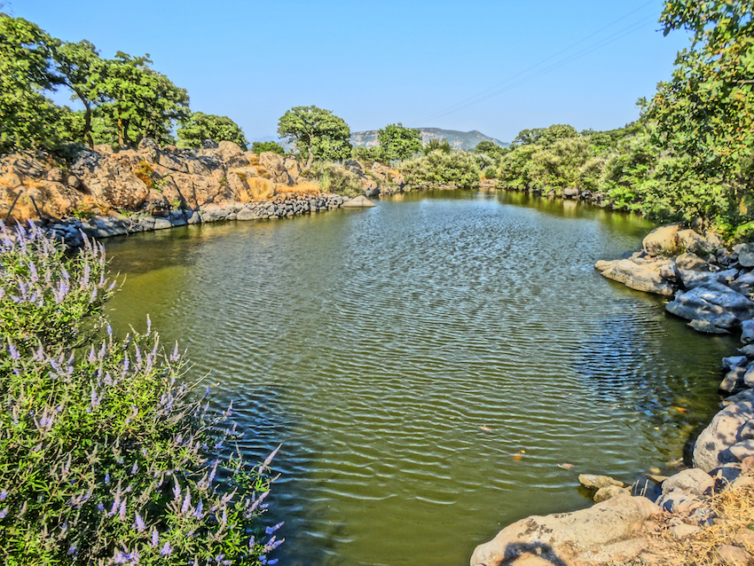 Turtle pond, Skalohori