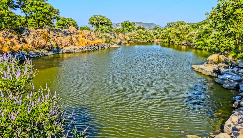 skalohori Turtle Pond