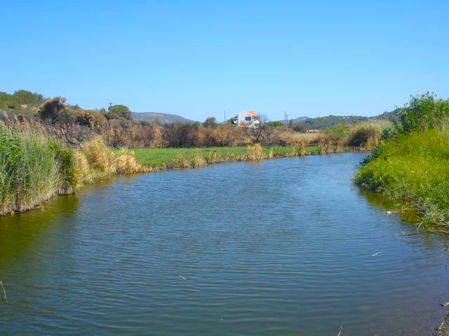 Vatera turtle river