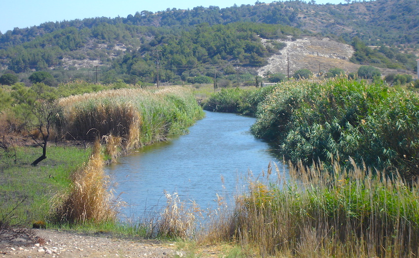 Vatera wetlands