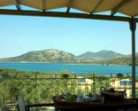 Gera's Olive Grove, Lesvos, Greece