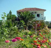 Heliotopos Apartments, Skala Eressos, Lesvos